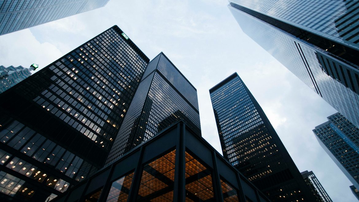 Interim Executives and Professional Search